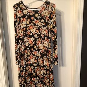 Agnes & Dora Earhart